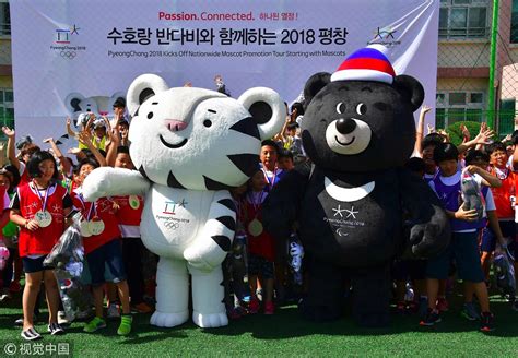 A Tale of Two Mascots: Exploring the Symbolism of Soohorang and Bandabi